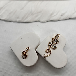 Vip antiallerjik aşk  küpesi