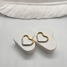 2 renkli çelik kalp halka küpe